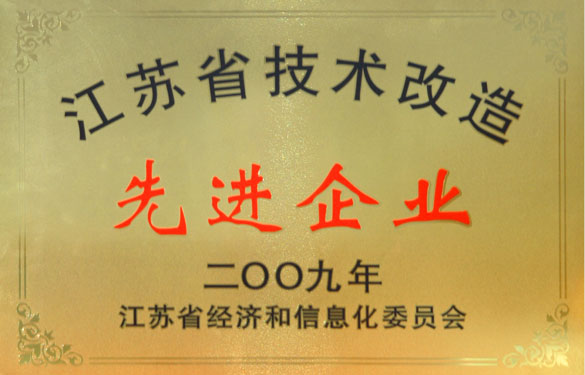 澳门免费原料获“2009年江苏省技术改造先进企业”称号