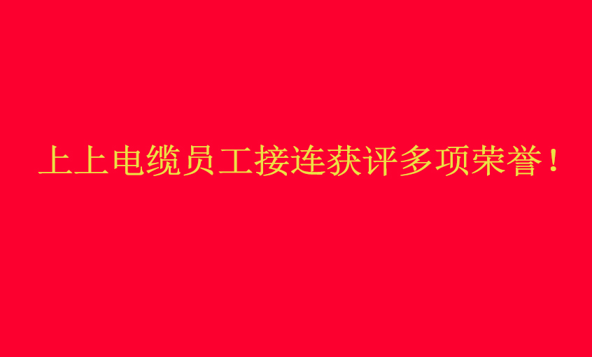 澳门免费原料员工接连获评多项荣誉